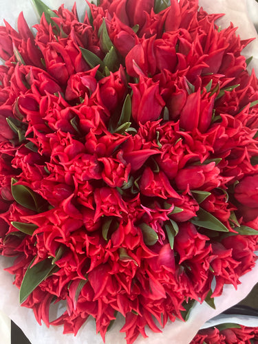 Red Tulips - 10, 20 or 30 bulbs - Free delivery within the UK