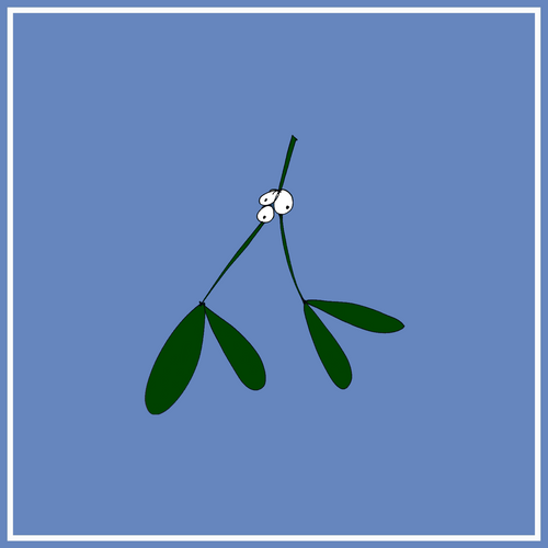 Blue Camassia - 1, 2 or 3 large bulbs - Free delivery within the UK