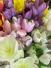 Load image into Gallery viewer, Mixed colours Tulip - Pastel Mix - 10, 20 or 30 bulbs - Free delivery within the UK