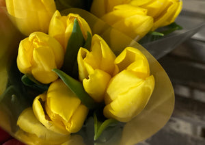 Tulip bulbs yellow 'Yokohama' - 10, 20 or 30 bulbs - Free delivery within the UK