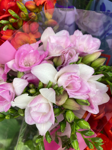 Mixed colours of Freesia - 5, 10, 20 or 50 bulbs - Free delivery within the UK